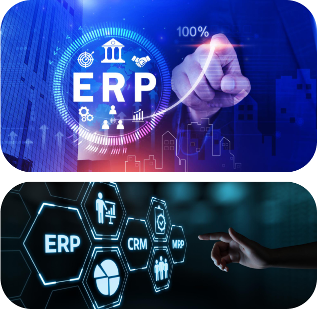 ERP integration services