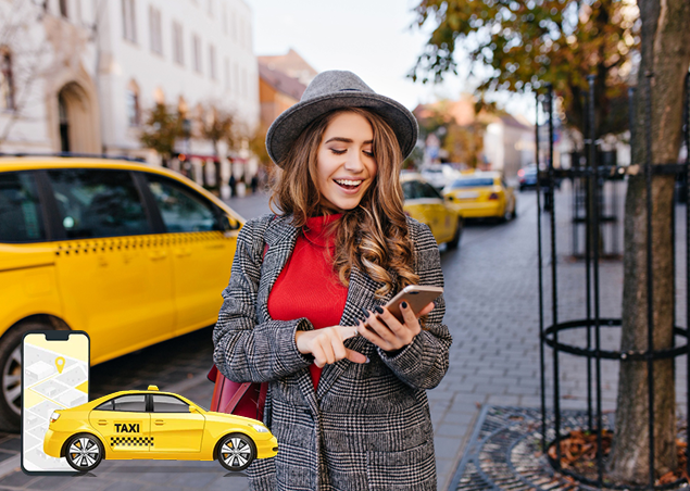 Continuous Maintenance & Technical Support