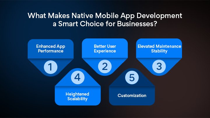 Native mobile app development benefits